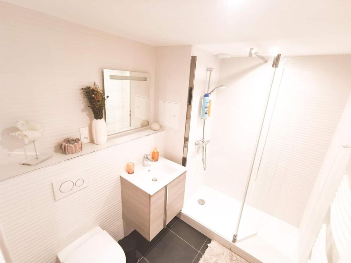 Appartement Cosy En Hypercentre - Le Petit Jules Dijon Eksteriør bilde